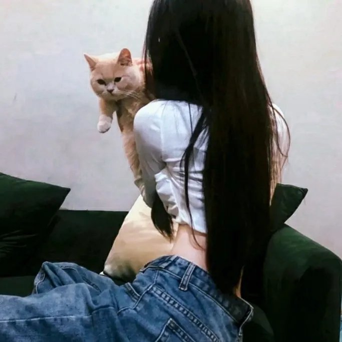 功夫无敌